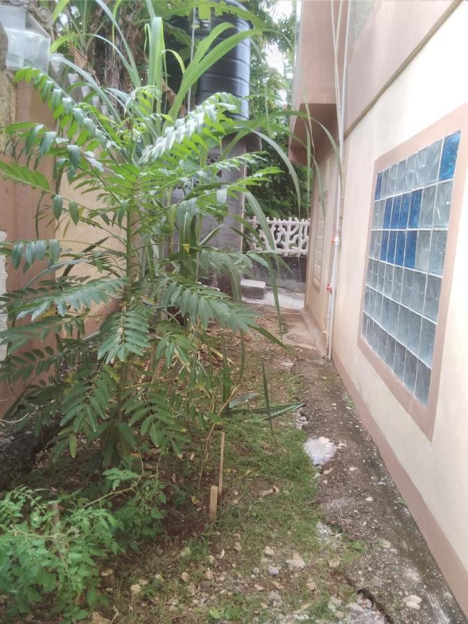 Becaville Port Antonio Exterior foto