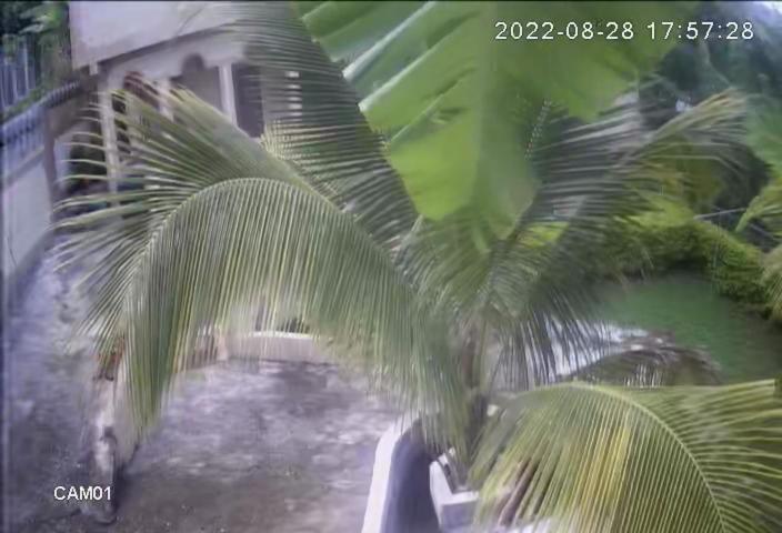 Becaville Port Antonio Exterior foto
